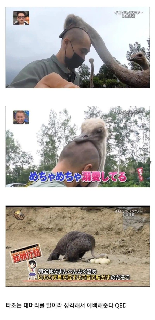 대머리의 장점.jpg