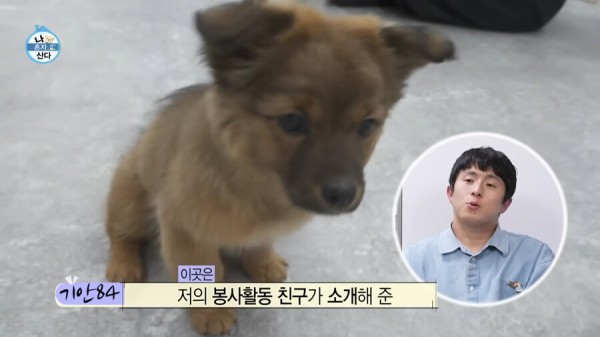 박나래 나가고 오히려 나혼산 시청률이 올라간 이유_9.png